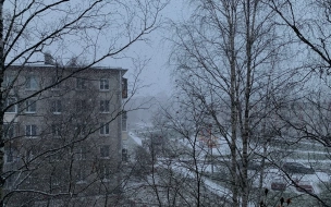 В среду в Ленобласти ожидается небольшой снег