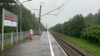 Упавшее дерево на Витебской железной дороге задержало в пути электрички