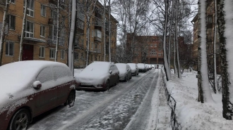 В Петербурге 21 декабря ожидается ледяной дождь