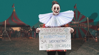 Активисты и представители Цирка Чинизелли высказались об эксплуатации животных