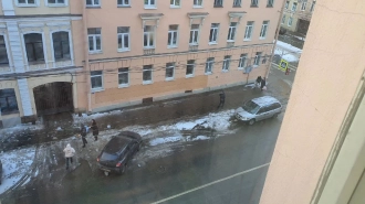 Рухнувшая с крыши в центре Петербурга глыба льда убила домашнюю собаку