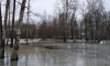 В Петербурге готовы 7 авиасудов на случай паводка
