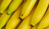 Россельхознадзор выявил партию заражённых бананов в морском порту Петербурга