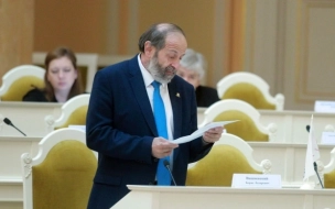 Вишневский намерен через суд доказать свою победу на выборах в Госдуму и ЗакС