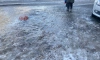 Пожилой петербуржец умер в реанимации после того, как упал на льду