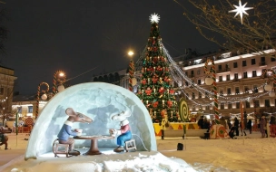 На Дворцовой площади 20 декабря установят главную новогоднюю ель