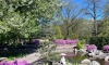 Экскурсии по Японскому саду будут проводиться в Ботаническому саду с 21 мая