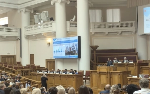 Снижение смертности в Петербурге по сравнению с 2019 годом составило 3% 
