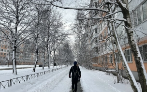 В Петербурге проводится усиленная уборка дворов