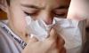 Заболеваемость гриппом и ОРВИ в Петербурге находится на неэпидемическом уровне