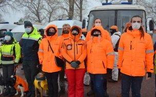 Волонтеры отряда "Лиза Алерт" нашли более 2 тыс. людей живыми в Петербурге и области в 2020 году
