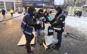 ККИ Петербурга освободил 18 участков в трех районах города от нелегальной торговли