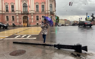В Петербурге 17 октября пройдут дожди и усилится ветер до 15-20 м/с