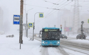 До конца 2024 года Петербург получит 100 новых электробусов