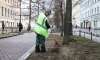 На просушку закрыли 104 парка и сквера в Петербурге