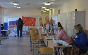 Названы районы Петербурга с самой высокой явкой на выборах президента РФ