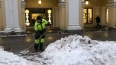 В Петербурге ожидается дефицит дворников и других ...