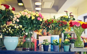 Петербуржцам рассказали, как выбрать живые цветы к 1 сентября