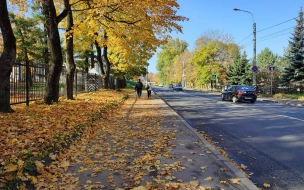 В Петербурге коммунальные службы начали убирать осенние листья