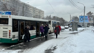 В Петербурге автобус № 207 временно свернул с пути 