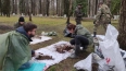 С конца апреля на территории Петербурга найдены останки ...