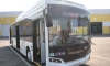 В Петербурге представлен новый низкопольный автобус марки Volgabus