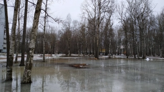 14 апреля в Петербурге ожидается облачная с прояснениями погода