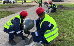 Любашинский сад засияет в новом свете