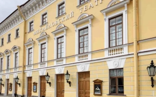 Укрепление фундамента Михайловского театра завершат к середине осени