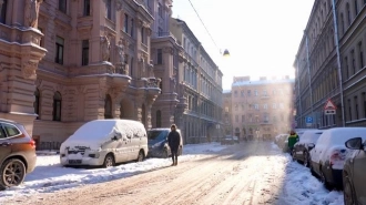 В Петербурге и области выпало рекордное количество снега с начала зимы