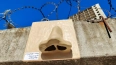 Жители Шушар создали скульптуру носа после знакомства ...