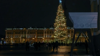 Новогодние сцены установят на Дворцовой площади и Малой Конюшенной улице
