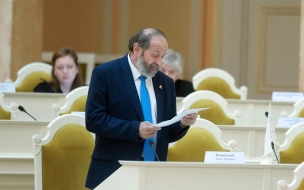 Коллеги Бориса Вишневского не поддержали его запрос к Беглову о музее на Охтинском мысу