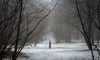 В среду в Ленобласти ожидается сильный снегопад и гололедица