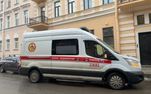 В Петербурге госпитализировали мальчика после попытки сбежать из дома через окно