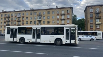 "Нарвскую" и проспект Стачек через жилые кварталы на улице Трефолева свяжет автобус №269