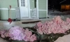 В Финляндии выпал розовый снег