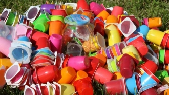 Эксперты поддержали запрет цветного пластика и одноразовой посуды в России с 2023 года