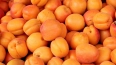 В двух тоннах узбекских абрикосов в  Пулково нашли ...