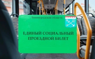 Свыше 22 млн жителей Ленобласти воспользовались льготным проездом с начала года 