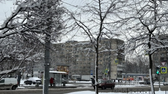 В Петербурге 13 февраля временами будет идти снег