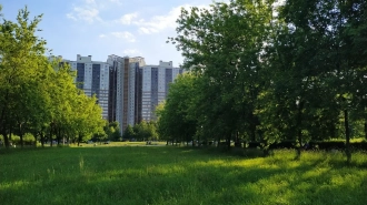 В Усть-Луге взлетели цены на недвижимость из-за строительства газохимического комплекса