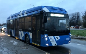 В наземном транспорте Петербурга подешевеет проезд в январе