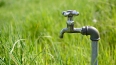Система водоснабжения в Тосненском районе на грани ...