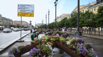 Список растений для озеленения Петербурга предложили обновить с учетом климатических изменений