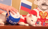 Эрмитажный кот Ахилл будет "работать" во время Евро-2020