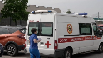 В Красном Селе споткнувшаяся пенсионерка попала под машину