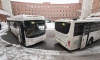 В Ленобласти на маршруты выходят 70 новых автобусов