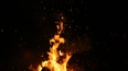 Фестиваль огня пройдет в ночь на 29 мая в Петропавловской ...