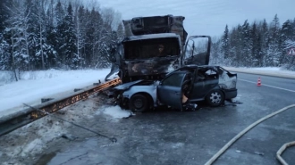 В ДТП с грузовиком в Новгородской области погибли четыре человека
